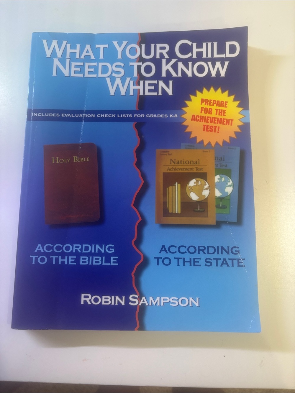 What Your Child Needs to Know When - Robin Sampson - Blue Cover